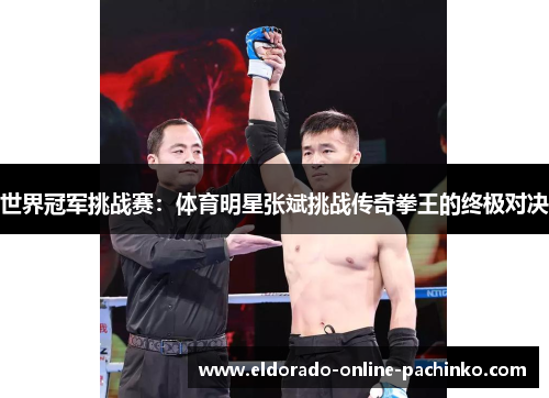 世界冠军挑战赛：体育明星张斌挑战传奇拳王的终极对决